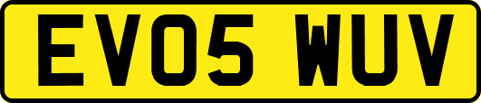 EV05WUV