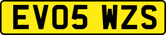 EV05WZS