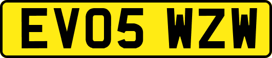 EV05WZW
