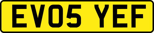 EV05YEF