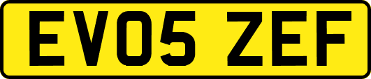 EV05ZEF