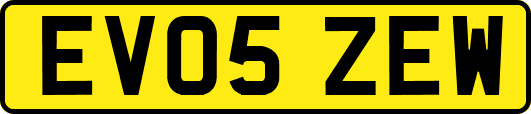 EV05ZEW