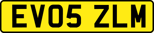 EV05ZLM