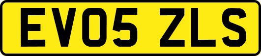 EV05ZLS