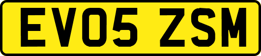 EV05ZSM