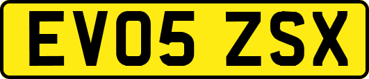 EV05ZSX
