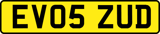 EV05ZUD