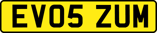 EV05ZUM