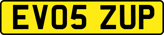 EV05ZUP