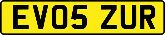 EV05ZUR