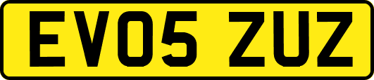 EV05ZUZ