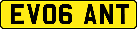EV06ANT