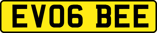 EV06BEE