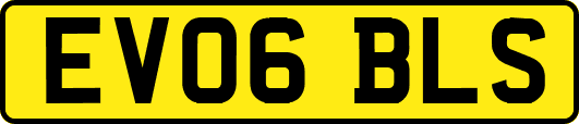 EV06BLS
