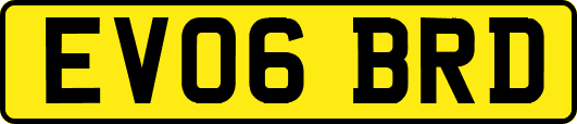 EV06BRD