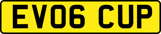 EV06CUP