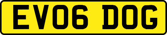EV06DOG