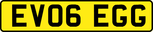 EV06EGG
