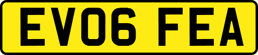 EV06FEA