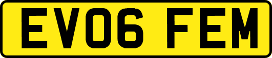 EV06FEM