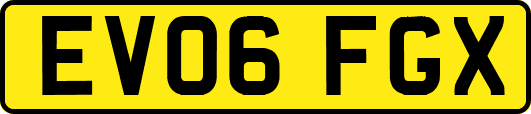 EV06FGX
