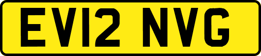 EV12NVG