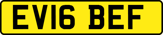 EV16BEF