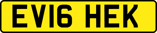EV16HEK
