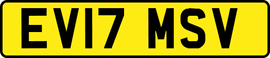 EV17MSV