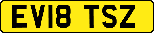 EV18TSZ