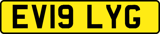 EV19LYG