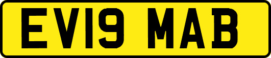 EV19MAB