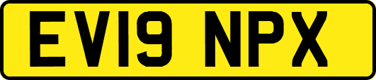 EV19NPX
