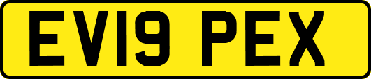 EV19PEX