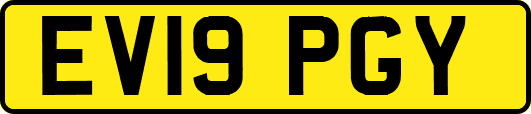 EV19PGY