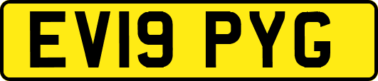 EV19PYG