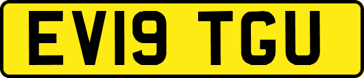 EV19TGU