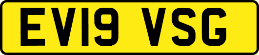 EV19VSG