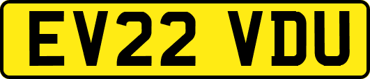 EV22VDU