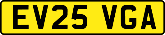 EV25VGA