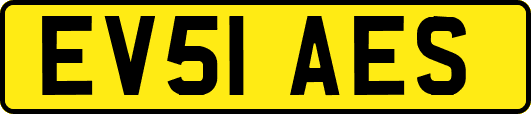 EV51AES