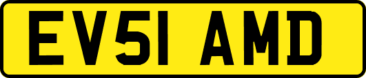 EV51AMD