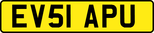 EV51APU