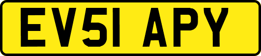 EV51APY