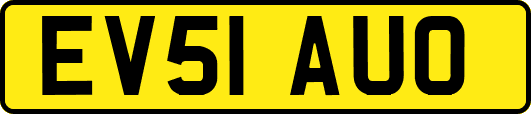 EV51AUO