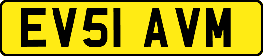 EV51AVM