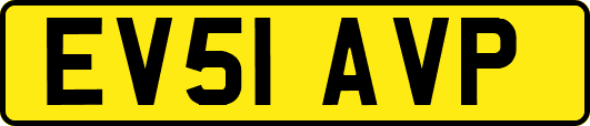 EV51AVP