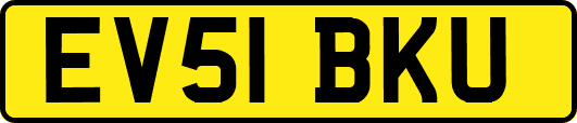 EV51BKU