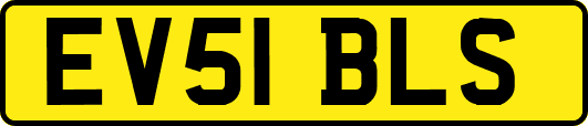 EV51BLS