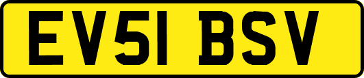 EV51BSV
